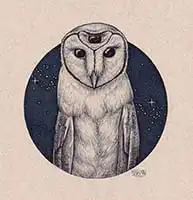 Day 2 - Owl
