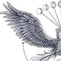 Phoenix - Detail 1